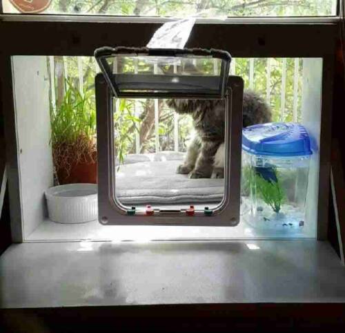 Cat Perch/Landing - Image 8